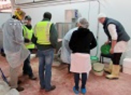 Irregularidades en la comercialización de atún. La Guardia Civil investiga a cuatro personas por supuestos delitos contra la salud pública, dentro...