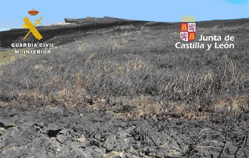El SEPRONA de la Guardia Civil investiga a un ganadero y a su hijo menor por un delito de incendio forestal, en el que ardieron 16 hectáreas de...
