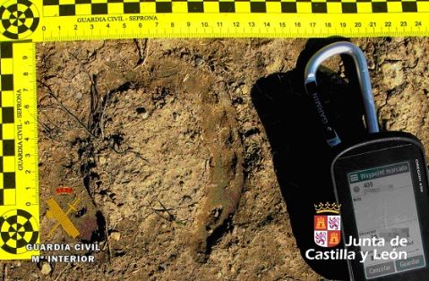 El SEPRONA de la Guardia Civil investiga a un ganadero y a su hijo menor por un delito de incendio forestal, en el que ardieron 16 hectáreas de...