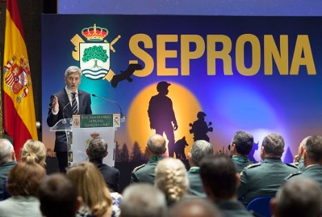 El Ministro del Interior ha presidido el 30º Aniversario de la creación del SEPRONA de la Guardia Civil. Durante este acto, Grande-Marlaska ha...