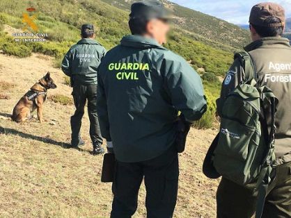El SEPRONA de la Guardia Civil , han intensificado las actuaciones de carácter preventivo en el ámbito rural, para la localización de cebos...