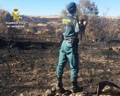 La Guardia Civil investiga a una persona como supuesto autor de un delito de incendio forestal. El incendio que alcanzó el nivel 2, estuvo activo...