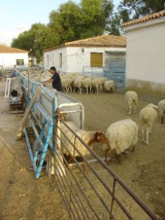 Lectura en manga de manejo I