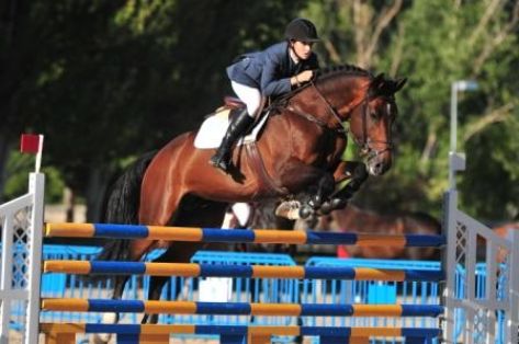 Sexo:Macho; <br/>Comentario: Fotografía facilitada por FEAGAS