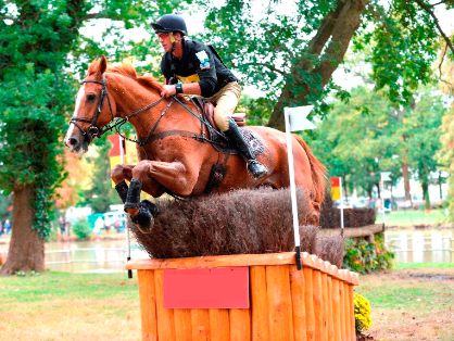 Autor: José Luis Fernández Cuervo.<br/>Año: 2012<br/>Sexo: Macho.<br/>Comentarios: NEREO (2000), macho criado por la yeguada Casa de Neves en...