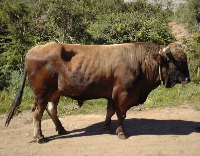 Comentario: Fotografía facilitada por FEAGAS
