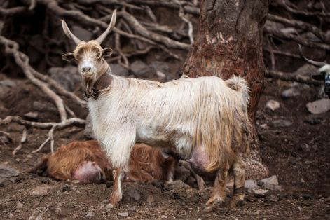Comentario: Fotografía facilitada por ACCRP