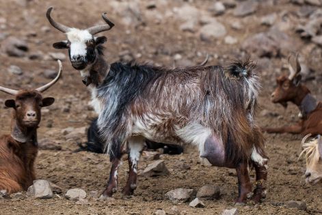 Comentario: Fotografía facilitada por ACCRP