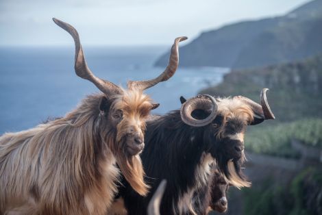 Comentario: Fotografía facilitada por ACCRP