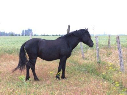 Comentario: Fotografía facillitada por FEAGAS