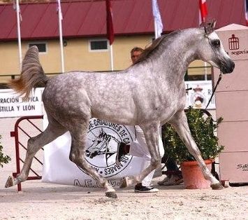 Imagen facilitada por FEAGAS