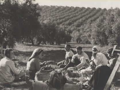 Recolección. Arjona (Jaén)<br/>Autor: Eufrasio Martínez Valero. 1959
