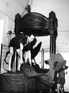 Almazara de la cooperativa del Campo de Arjona (Jaén).<br/>Autor: Eufrasio Martínez Valero. 1959. MAPA.<br/>