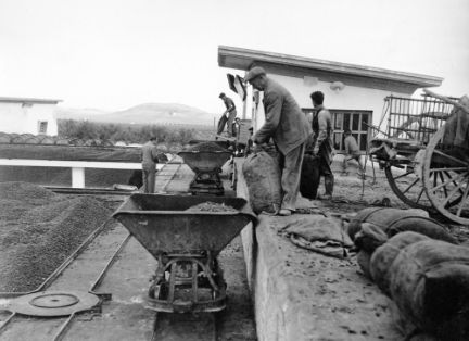 Almazara de la Cooperativa Agrícola San Juan (Jaén).<br/>Autor: Antonio Illanas Calleja. 1959. MAPA.<br/>