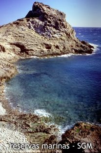 Autor: Diego Moreno Titulo: Punta Genova 