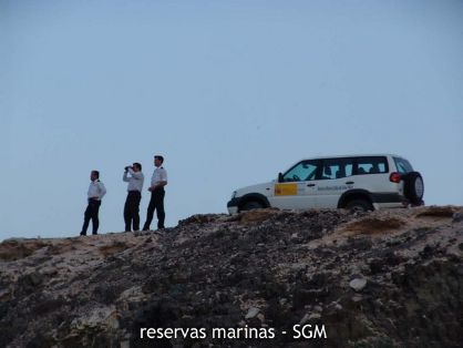 Autor: Carlos Fierro Titulo: Medios de vigilancia 