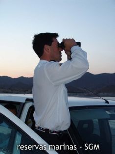 Autor: Carlos Fierro Titulo: Medios de vigilancia 