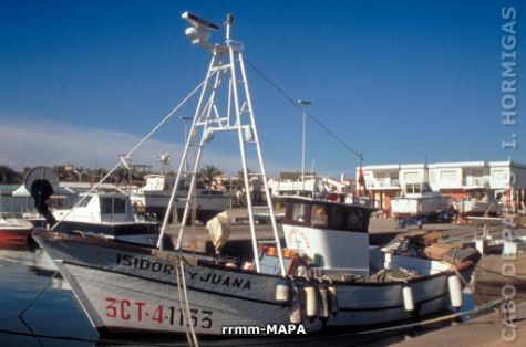 Autor: Desconocido Titulo: Barcos artesanales