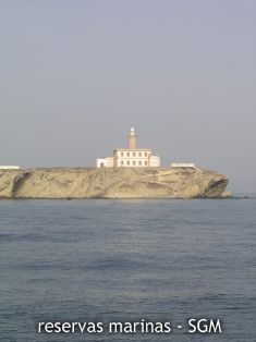 Autor: Jose M. Ortiz Título: Vista Faro