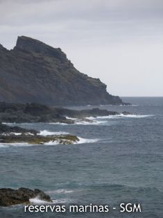 Autor: Tamia Brito Título: Costa de Barlovento