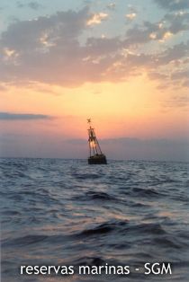 Autor: Felio Lozano Título: Amanecer. Boya de límite de la reserva