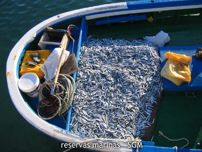 Autor: Silvia González Título: Pesca Artesanal