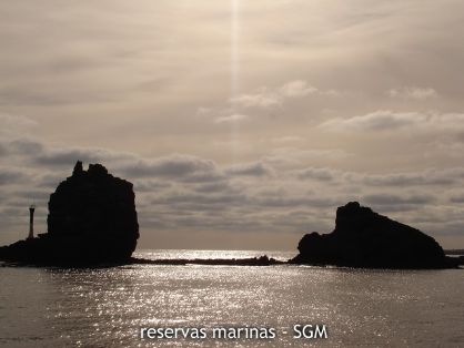 Autor: Guillermo Sanz Título: Punta Fariones