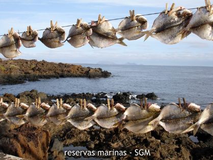 Autor: Guillermo Sanz Título: Secado de salemas