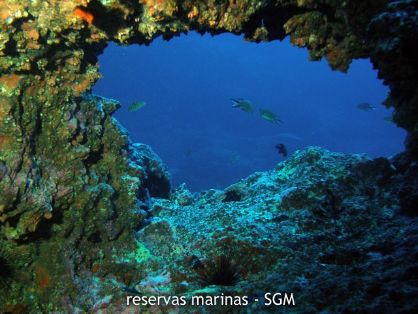 Autor: Conaima Título: Fondos de Alegranza Sur. La Graciosa