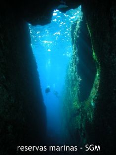 Autor: D. K. Kersting Título: Grieta (L'Illa Grossa)