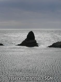 Autor: D. K. Kersting Título: Mascarat guardando la entrada a puerto