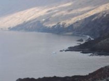 Autor: Francisca Miota Título:Paisaje de la Restinga