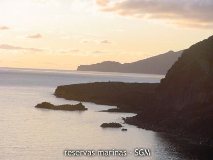 Autor: Francisca Miota Título:Paisaje de la Restinga