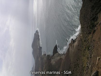 Autor: Jose Manuel Ortiz Título:Paisaje de la Restinga