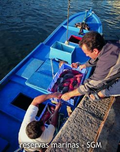 Autor: David Olivera Título:Pesca artesanal