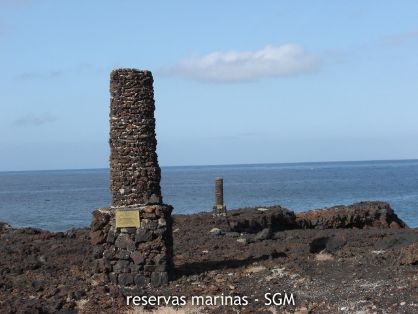 Autor: Francisca Miota Título:Mojones