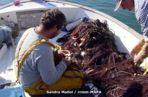 Autor: Sandra Mallol Titulo: Desenmallando pescado