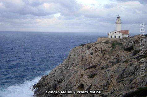 Autor: Sandra Mallol Titulo: Faro Capdepera