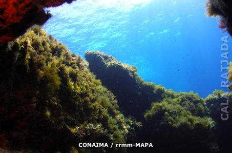 Autor: CONAIMA Titulo: Cabo de Freus