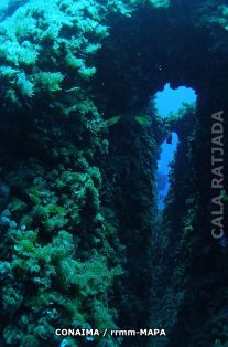 Autor: CONAIMA Titulo: Cuevas