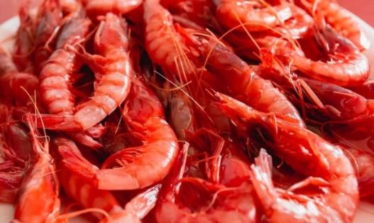 Mediante resolución publicada hoy en el BOE