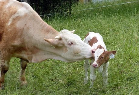 Los datos están disponibles en la página web del ministerio