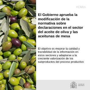 Hoy, en Consejo de Ministros