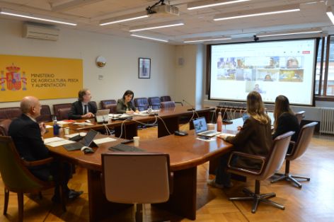 En su 52 sesión plenaria celebrada hoy por videconferencia 