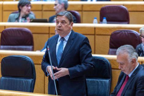 Hoy, en el pleno del Senado