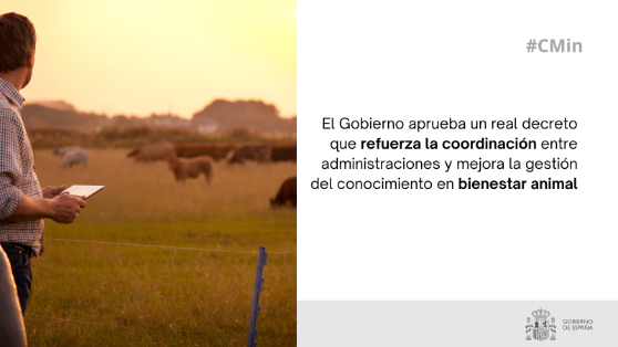 Hoy, en Consejo de Ministros