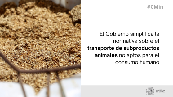 Hoy, en el Consejo de Ministros 