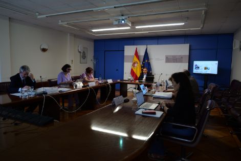 Hoy, en sesión celebrada por videoconferencia