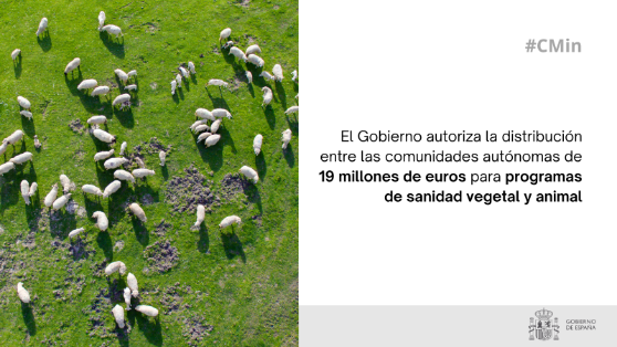 Hoy, en Consejo de Ministros