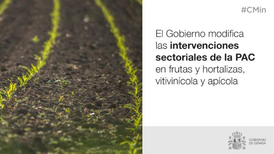 Hoy, en Consejo de Ministros